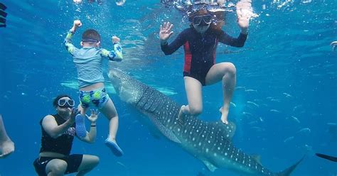 snorkeling cebu|THE TOP 10 Snorkeling in Cebu (w/Prices) .